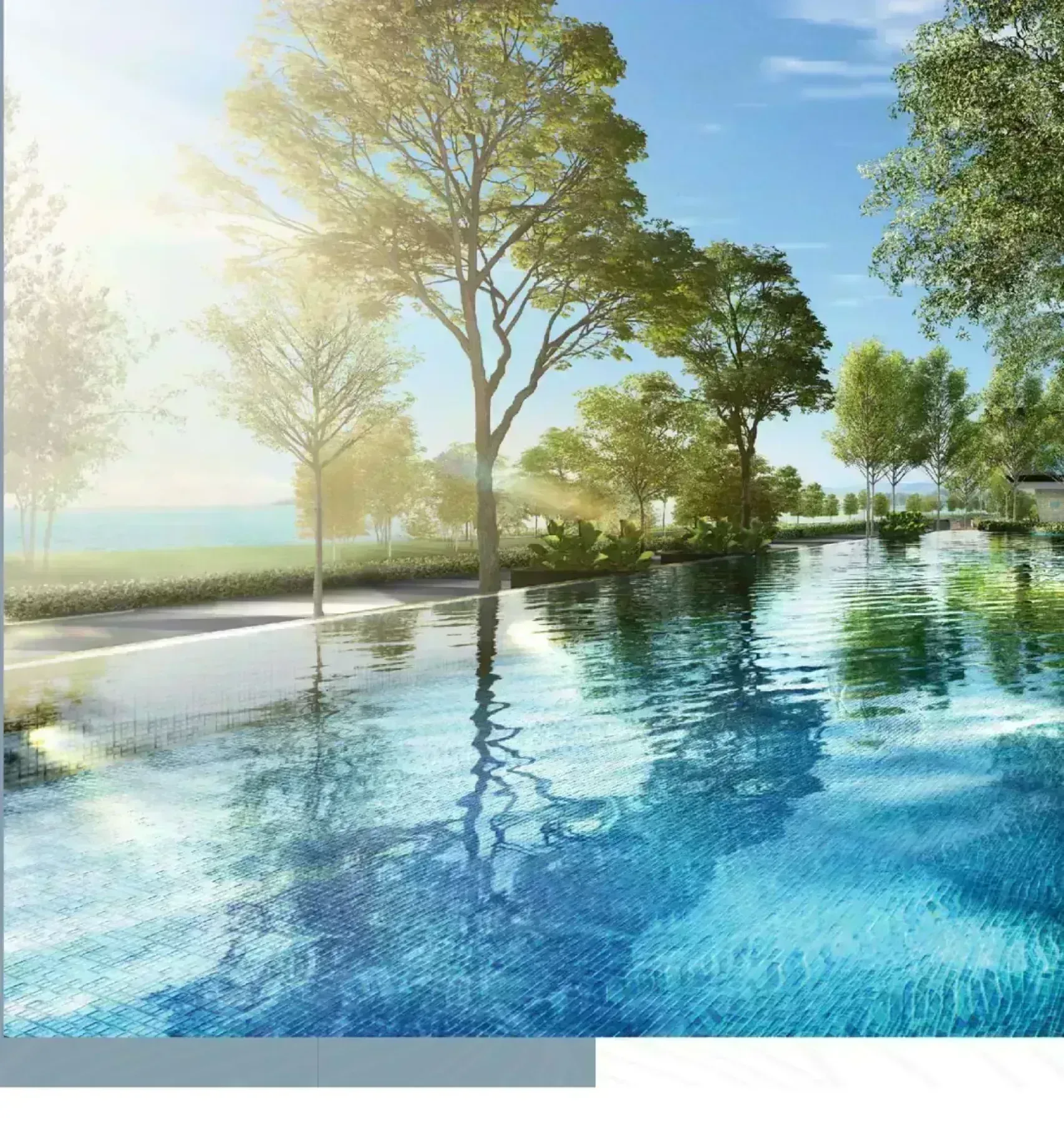 Marina Residence 2 lap pool garden